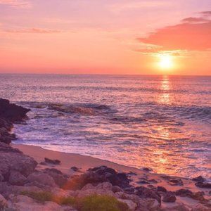 Meet your Posher, Halle